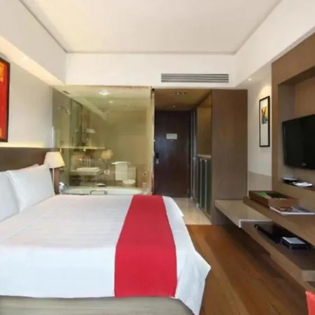 Hotel Luxury Villa Near Delhi Airport-2
