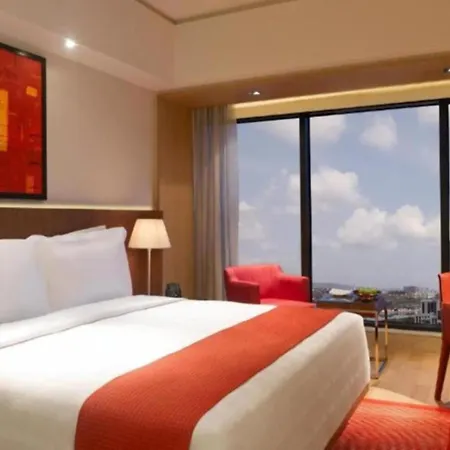 Hotel Luxury Villa Near Delhi Airport-3